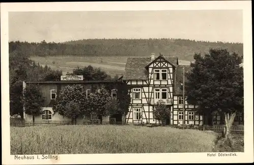 Ak Neuhaus im Solling Holzminden Niedersachsen, Hotel Düsterdiek