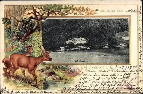 Präge Passepartout Ak Bad Lauterberg im Harz, Wiesenbeeker Teich, Reh und Hirsch