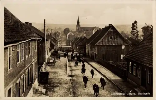 Foto Ak Elbingerode Oberharz am Brocken, Straßenpartie, Kuhherde