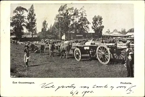 Ak Pretoria Südafrika, Een Ossenwagen