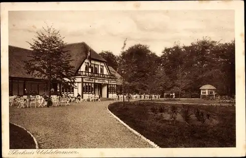 Ak Putten Gelderland, Uddelermeer, Theehuis