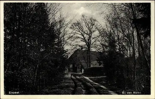 Ak Elspeet Gelderland, Bij den Molen