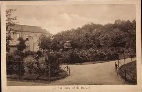 Ak Duiven Gelderland, in het Park