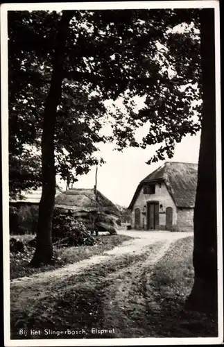 Ak Elspeet Gelderland, Bij het Slingerbosch
