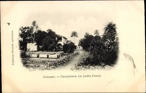 AK Conakry Guinea, Camayenne, Le jardin d´essai