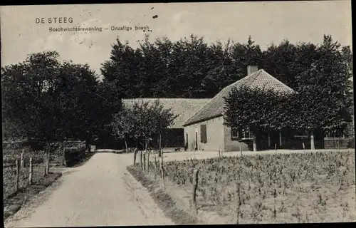 Ak De Steeg Rheden Gelderland, Boschwachterswoning, Onzalige bosch