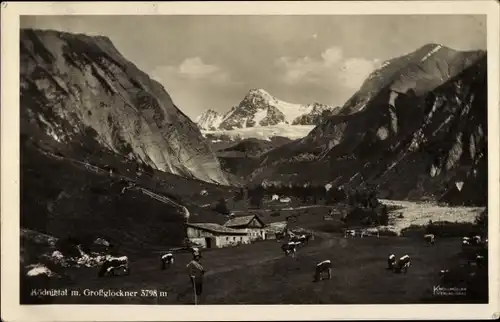Ak Kals am Großglockner Tirol, Teilansicht, Kühe weiden, Luckner Hütte