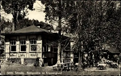 Ak Krippen Bad Schandau in Sachsen, Rölligmühle, Krippengrund, Gasthaus