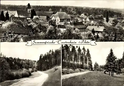 Ak Tautenhain in Thüringen, Panorama vom Ort, Fachwerkhäuser, Wald
