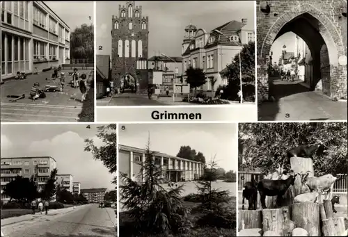 Ak Grimmen in Mecklenburg Vorpommern, Kindergarten, Mühlentor, Turnhalle, Tierpark