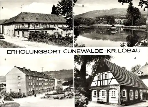 Ak Cunewalde in der Oberlausitz, Schwanenteich, AWG-Siedlung, Oberlausitzer Umgebungshaus
