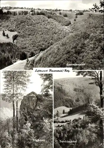 Ak Frauenwald am Rennsteig Ilmenau in Thüringen, Gesamtansicht, Tränkbachtal