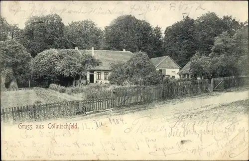 Ak Köllnischfeld Cöllnischfeld Springe am Deister, Teilansicht vom Haus