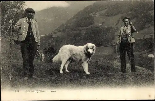 Ak Chien des Pyrenees, Männer in Trachten