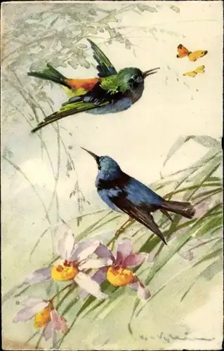 Künstler Ak Klein, Catharina, Vögel, Blüten, Schmetterlinge