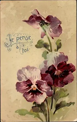 Künstler Ak Klein, Catharina, Stiefmütterchen