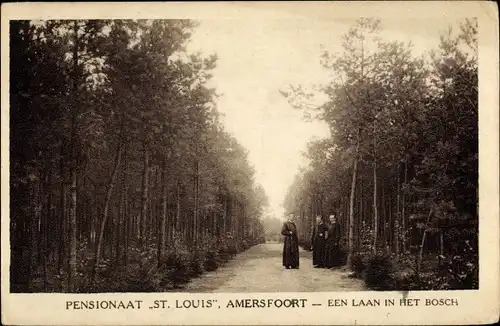 Ak Amersfoort Utrecht Niederlande, Pensionaat St. Louis, een laan in het bosch