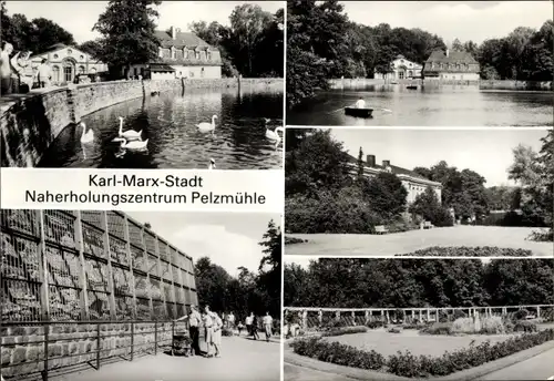 Ak Karl Marx Stadt Chemnitz in Sachsen, Erholungszentrum Pelzmühle, Teich