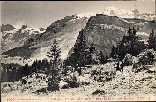 Ak Engelberg Kanton Obwalden Schweiz, Arnialp mit Titlis und Spannort