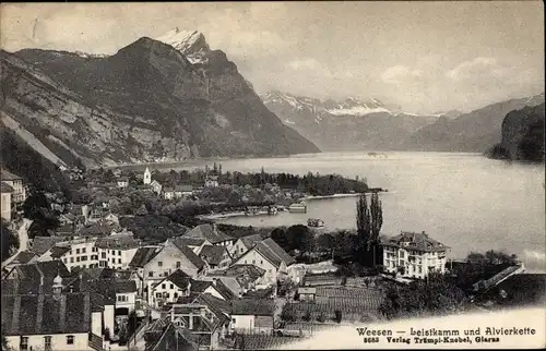 Ak Weesen Kanton Sankt Gallen, Ortsansicht mit Leistkamm und Alvierkette