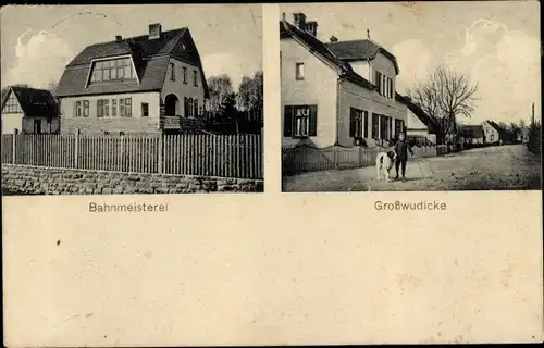Ak Großwudicke Milower Land in Brandenburg, Bahnmeisterei, Wohnhaus, Junge mit Hund
