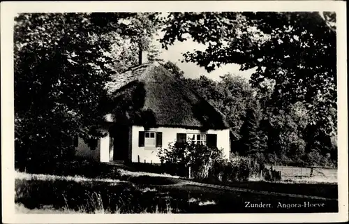 Ak Zundert Nordbrabant Niederlande, Angora-Hoeve