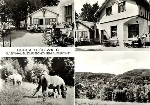 Ak Ruhla in Thüringen, Gasthaus Zur Schönen Aussicht, Außenansicht, Pferde, Panorama