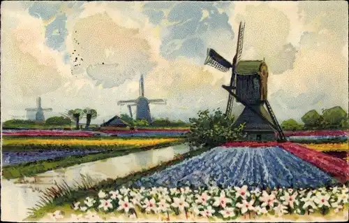 Ak Holländische Landschaft mit Windmühlen und Blumenfeldern
