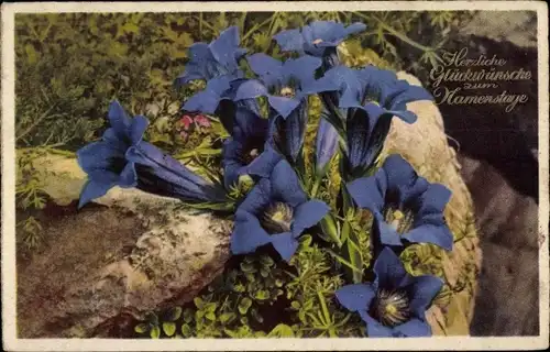 Ak Glückwunsch Namenstag, Gentiana Kochiana, Enzian, Photochromie HB 4302