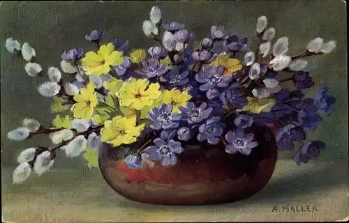 Künstler Ak Haller, A, Blumenvase mit Blüten und Weidenkätzchen