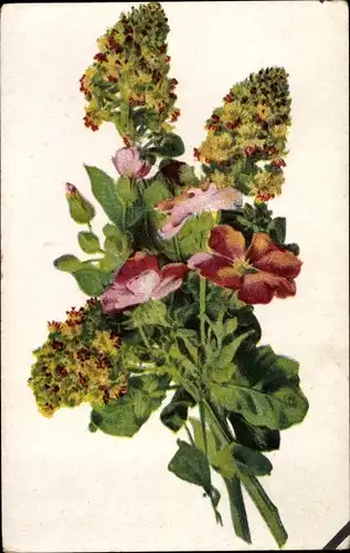 Ak Blumenstillleben, Reklame, Wernle's Putzpulver