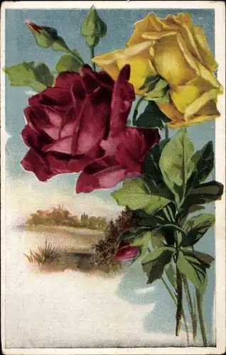 Ak Blumenstillleben, Reklame, Wernle's Putzpulver, Rosen