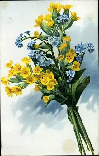 Ak Blumenstrauß, Vergissmeinnicht, Feldblumen, Nenke und Ostermaier 525 975, Photochromie