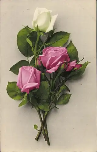 Ak Blumenstillleben, Rosenblüten