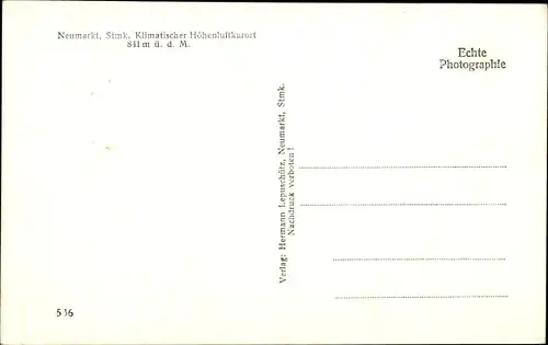 Ak Neumarkt in der Steiermark, Panorama