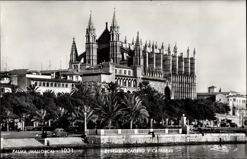 Ak Palma de Mallorca Balearische Inseln, Hafen, Kathedrale