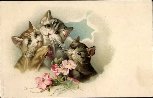 Litho Drei Katzen, Wolken, Blüten