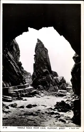 Ak Plemont Kanalinseltrikot