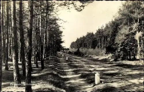 Ak Eerbeek Brummen Gelderland Niederlande, Imbosweg
