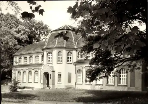 Ak Altenburg in Thüringen, Naturkundliches Museum Mauritianum