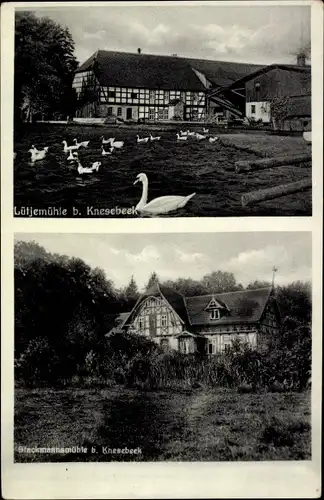 Ak Knesebeck Wittingen in Niedersachsen, Lütjemühle, Stackmannsmühle