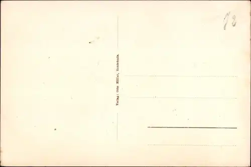 Ak Buxtehude in Niedersachsen, Viverpartie, Schwäne