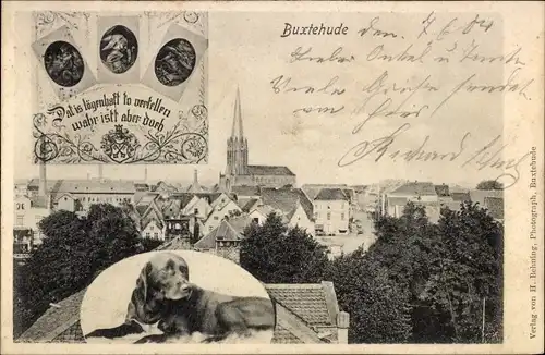 Ak Buxtehude in Niedersachsen, Totalansicht, Hund, Kirche