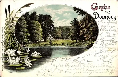 Litho Dobrock Wingst im Kreis Cuxhaven, Teich, Seerosen, Wald