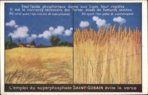 Ak Reklame, Phosphatdünger Saint Gobain, Getreidefeld