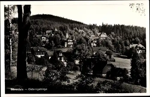 Ak Bärenfels Altenberg im Erzgebirge, Teilansicht, Wald