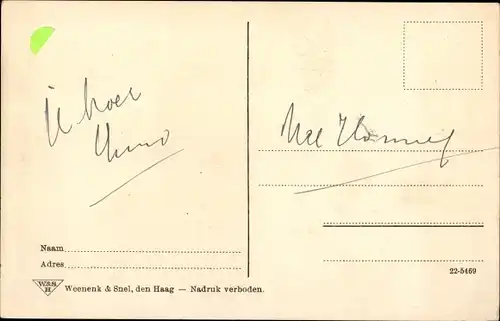 Ak Zwei Hauskatzen auf einem Fell