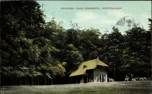 Ak Arnhem Gelderland Niederlande, Park Sonsbeek, Hertenkamp