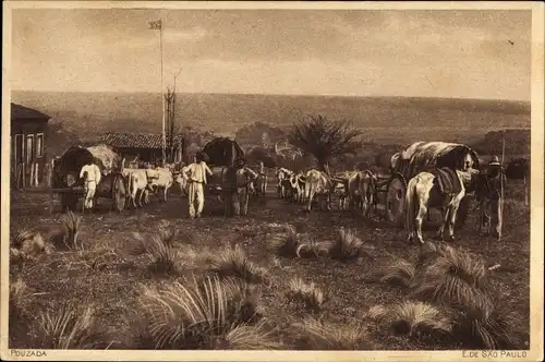 Ak Sao Paulo Brasilien, Einheimische auf einem Feld mit Pferden, Kühe, Wagen