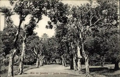 Ak Rio de Janeiro Brasilien, Jardim Botanico